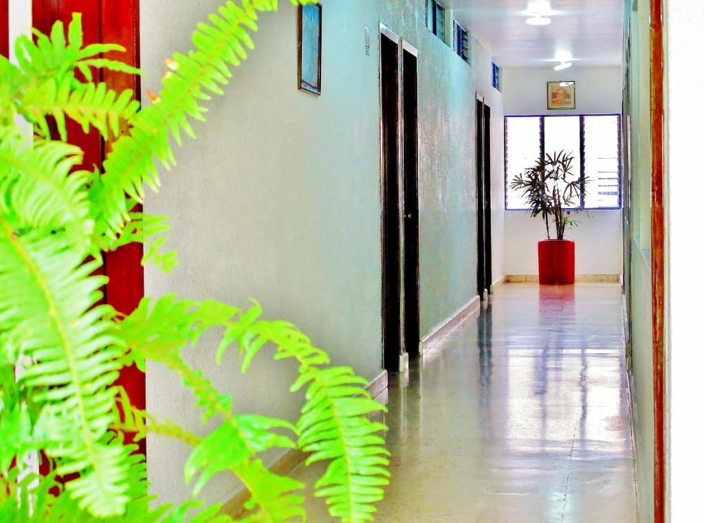 Hotel Acuario Catemaco Buitenkant foto