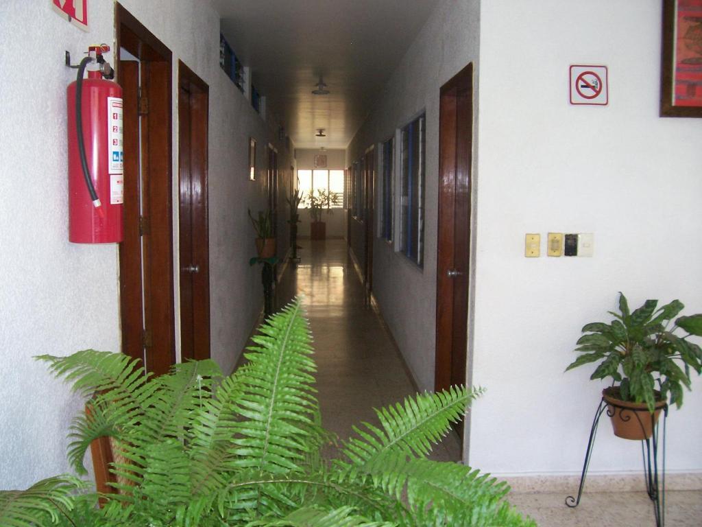 Hotel Acuario Catemaco Buitenkant foto
